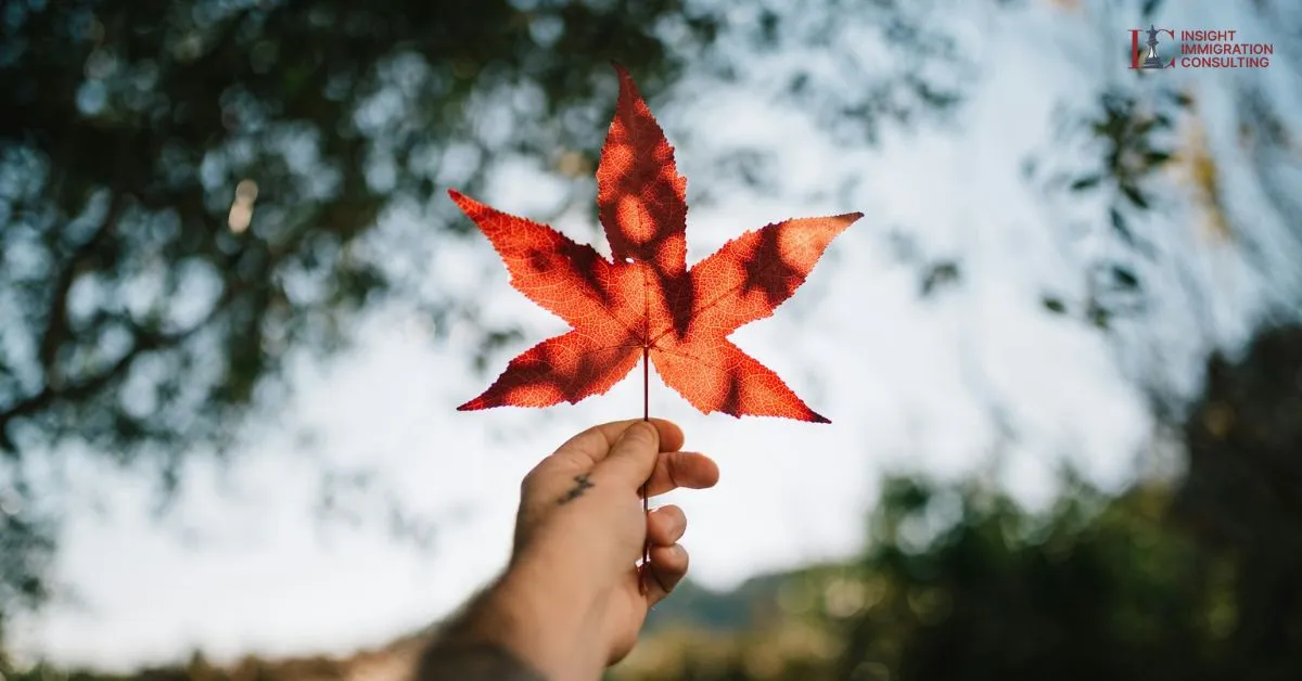 Góc Nhìn Halle Đặng Về Canada